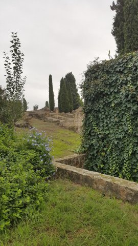 s368 italica